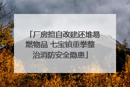 厂房擅自改建还堆易燃物品 七宝镇重拳整治消防安全隐患