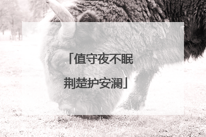值守夜不眠 荆楚护安澜