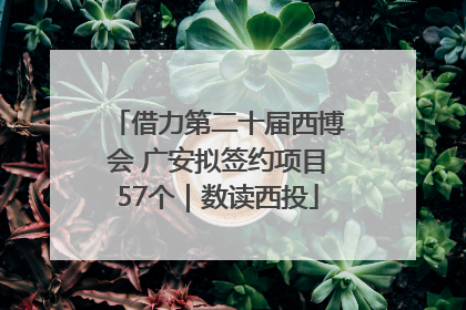 借力第二十届西博会 广安拟签约项目57个｜数读西投