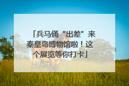 兵马俑“出差”来秦皇岛博物馆啦！这个展览等你打卡