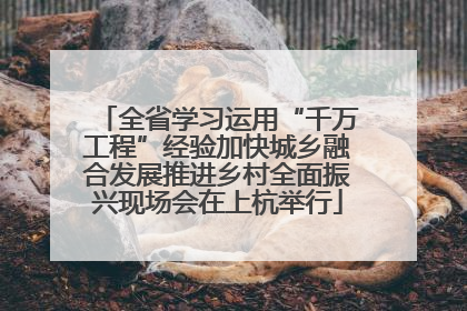 全省学习运用“千万工程”经验加快城乡融合发展推进乡村全面振兴现场会在上杭举行
