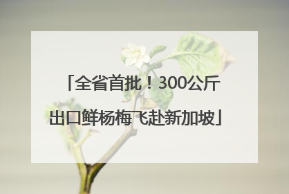 全省首批！300公斤出口鲜杨梅飞赴新加坡