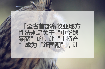 全省首部畜牧业地方性法规是关于“中华熊猫猪”的，让“土特产”成为“新国潮”，让“农产品”升格为“城市IP”