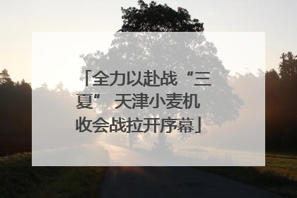 全力以赴战“三夏” 天津小麦机收会战拉开序幕
