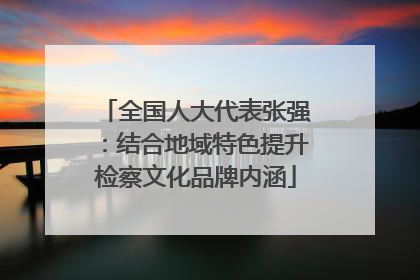 全国人大代表张强：结合地域特色提升检察文化品牌内涵