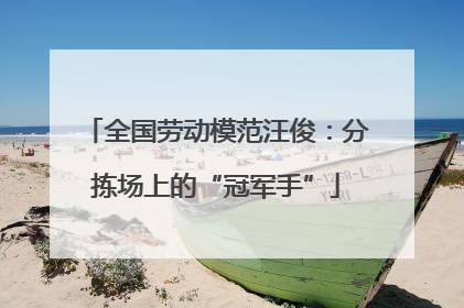 全国劳动模范汪俊：分拣场上的“冠军手”