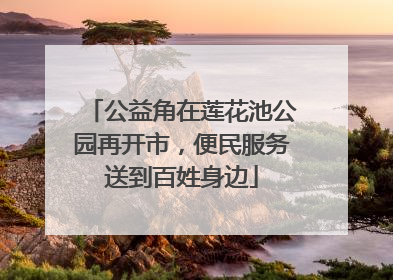 公益角在莲花池公园再开市，便民服务送到百姓身边