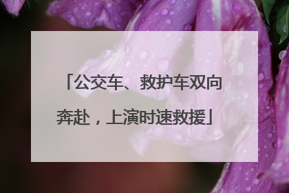 公交车、救护车双向奔赴，上演时速救援