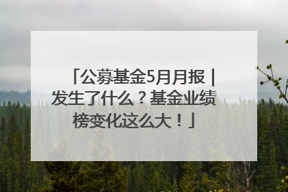 公募基金5月月报｜发生了什么？基金业绩榜变化这么大！