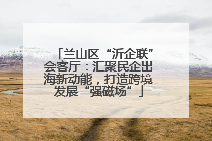 兰山区“沂企联”会客厅：汇聚民企出海新动能，打造跨境发展“强磁场”