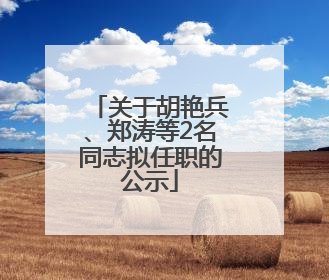 关于胡艳兵、郑涛等2名同志拟任职的公示