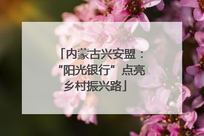 内蒙古兴安盟：“阳光银行”点亮乡村振兴路