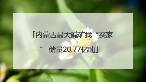 内蒙古最大碱矿找“买家” 储量20.77亿吨