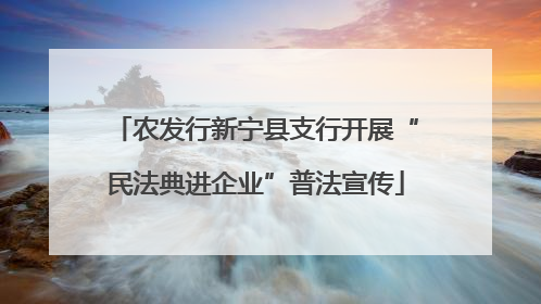 农发行新宁县支行开展“民法典进企业”普法宣传