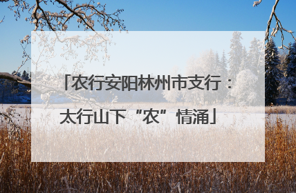 农行安阳林州市支行：太行山下“农”情涌