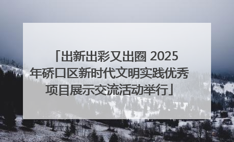 出新出彩又出圈 2025年硚口区新时代文明实践优秀项目展示交流活动举行