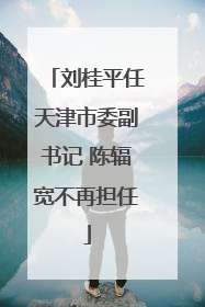 刘桂平任天津市委副书记 陈辐宽不再担任