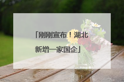 刚刚宣布！湖北新增一家国企