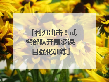 利刃出击！武警部队开展多课目强化训练