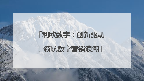 利欧数字：创新驱动，领航数字营销浪潮
