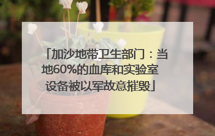 加沙地带卫生部门：当地60%的血库和实验室设备被以军故意摧毁