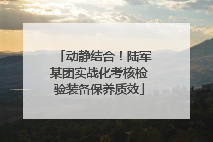 动静结合！陆军某团实战化考核检验装备保养质效