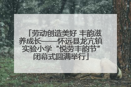 劳动创造美好 丰韵滋养成长——怀远县龙亢镇实验小学“悦劳丰韵节”闭幕式圆满举行