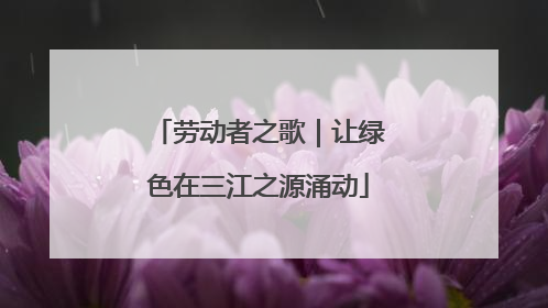 劳动者之歌｜让绿色在三江之源涌动