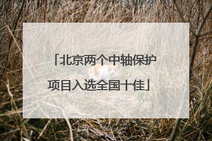 北京两个中轴保护项目入选全国十佳