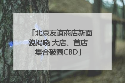 北京友谊商店新面貌揭晓 大店、首店集合破圈CBD