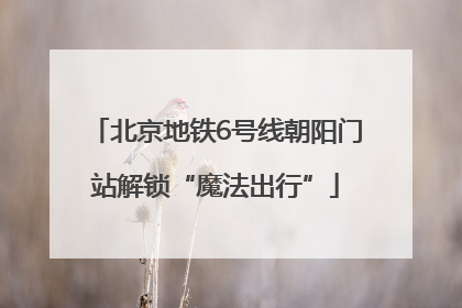 北京地铁6号线朝阳门站解锁“魔法出行”