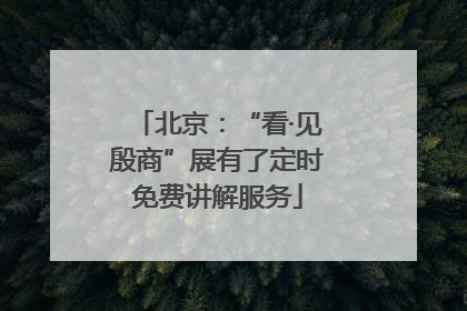 北京：“看·见殷商”展有了定时免费讲解服务