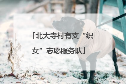 北大寺村有支“织女”志愿服务队