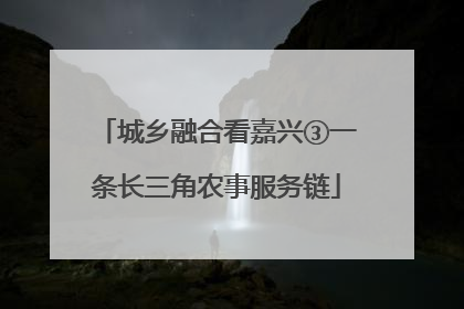 城乡融合看嘉兴③一条长三角农事服务链