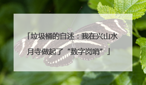 垃圾桶的自述：我在兴山水月寺做起了“数字岗哨”