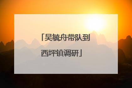 吴毓舟带队到西坪镇调研