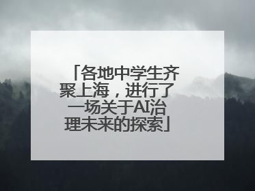 各地中学生齐聚上海，进行了一场关于AI治理未来的探索