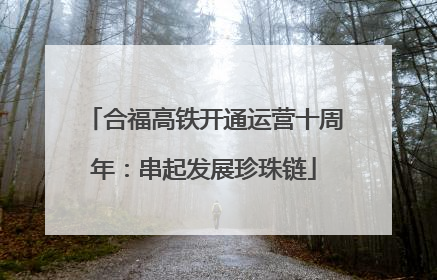 合福高铁开通运营十周年：串起发展珍珠链