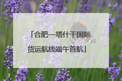 合肥—塔什干国际货运航线端午首航
