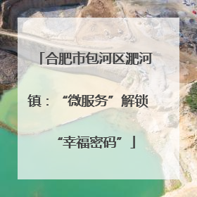 合肥市包河区淝河镇：“微服务”解锁“幸福密码”