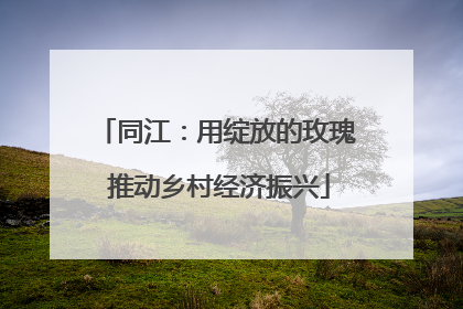 同江：用绽放的玫瑰 推动乡村经济振兴