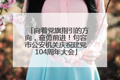 向着党旗指引的方向，奋勇前进！句容市公安机关庆祝建党104周年大会