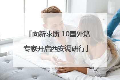 向新求质 10国外籍专家开启西安调研行