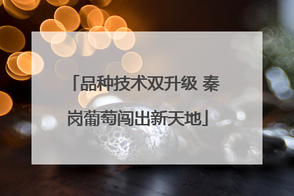 品种技术双升级 秦岗葡萄闯出新天地