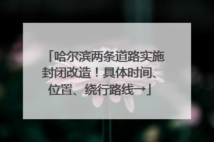 哈尔滨两条道路实施封闭改造！具体时间、位置、绕行路线→