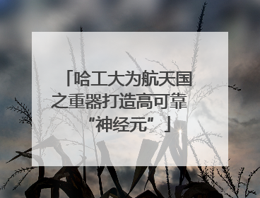 哈工大为航天国之重器打造高可靠“神经元”