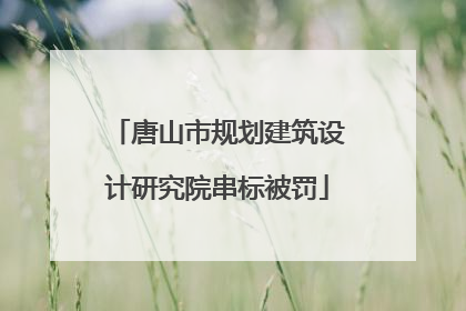 唐山市规划建筑设计研究院串标被罚