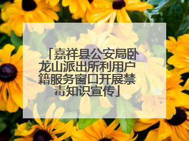 嘉祥县公安局卧龙山派出所利用户籍服务窗口开展禁毒知识宣传