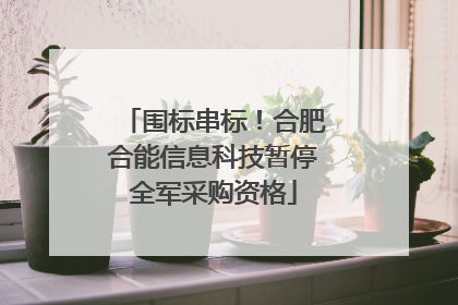 围标串标！合肥合能信息科技暂停全军采购资格