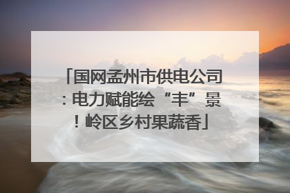 国网孟州市供电公司：电力赋能绘“丰”景！岭区乡村果蔬香